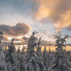 Winter sky